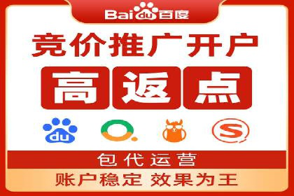 竞价排名在电商行业的实战案例